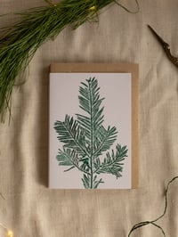 Image 5 of Botanical Christmas Card Pack  - Luxury Sustainable Nature Cards A6- Pack of 4/8.