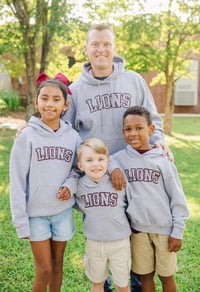 Adult Gray LIONS Hoodie 