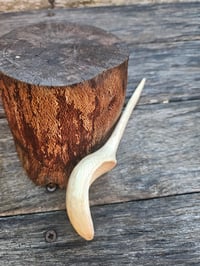 Image 3 of Grevillea scoop.