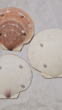 Image 2 of scallop jewelry dish