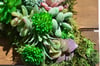 Botanical Wooden Wall Frame 