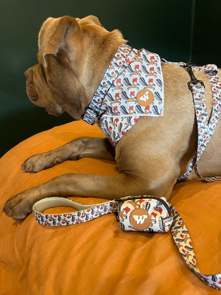 Image of Wedgies Dog Pack 