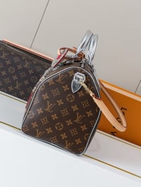 Image 13 of Two Toned Speedy