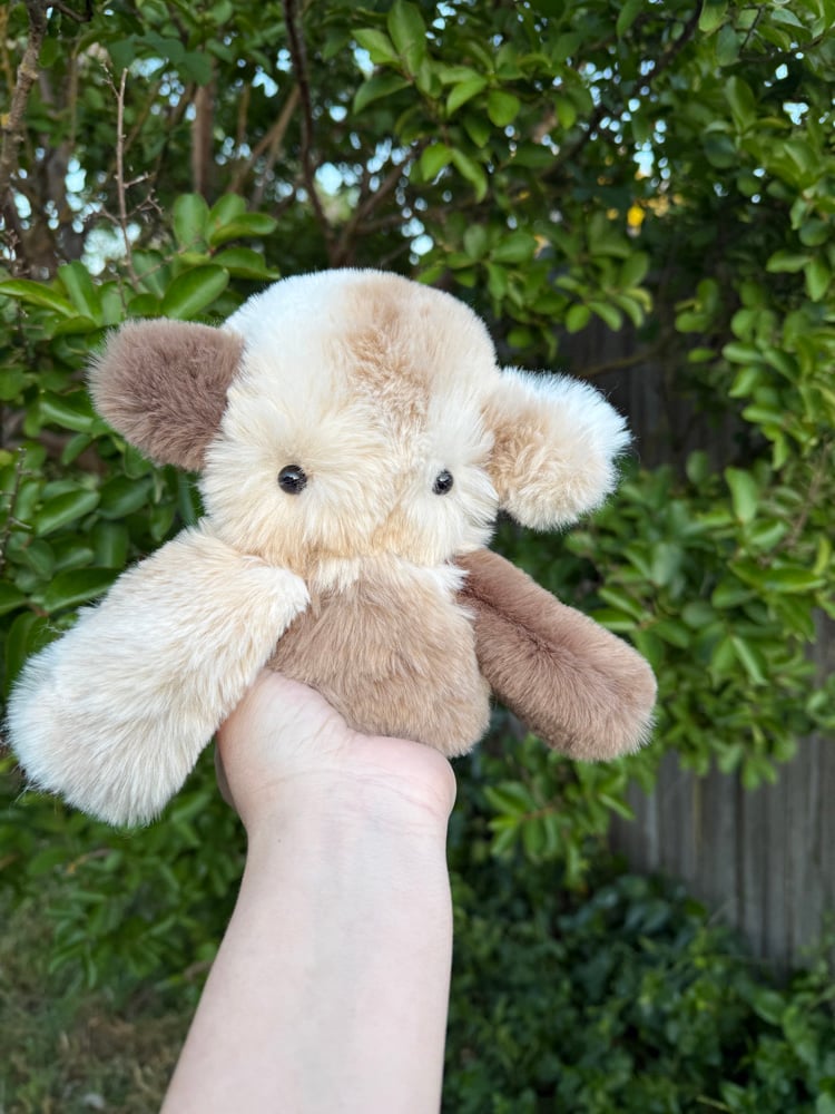 Image of nursery neutral dweller