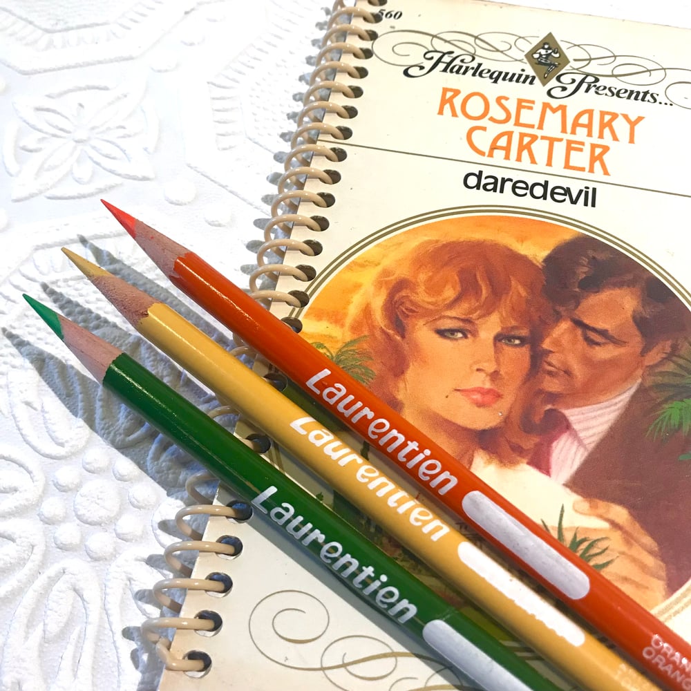 Trashy Novel Journal Set