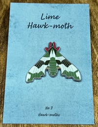Image 1 of Lime Hawk-moth - No.3 - Hawk-moth Series