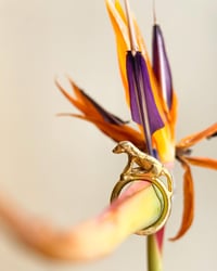 Image 1 of DOGGY DOG