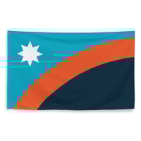 Hastings Minnesota City Vision Flag