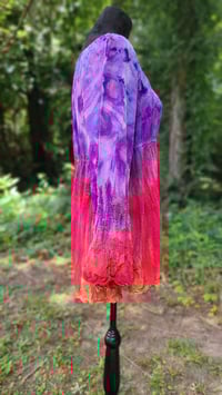 Image 2 of Fuchsia Dark Eye