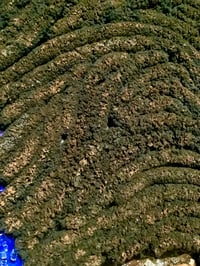 Image 4 of Duty of the Father