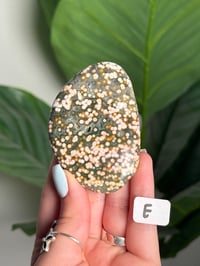 Image 5 of CHOOSE YOUR OWN PINK AND GREEN VEINLESS OCEAN JASPER PALM STONES -MADAGASCAR- 