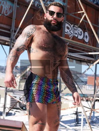 Image 2 of THE PRIDE BB SHORTS