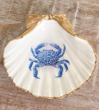 Leopard Crab | Medium Trinket Shell