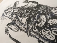 Image 4 of Rat anatomy wall hanging