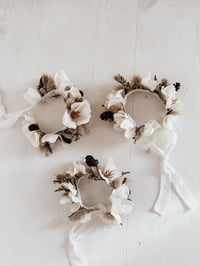 Image 4 of little star