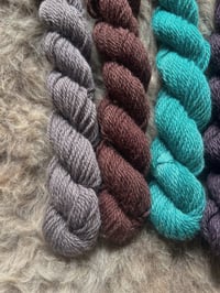 Image 4 of Mini Bundle #7 - 100G Hand Dyed Kent Romney Mini Skeins