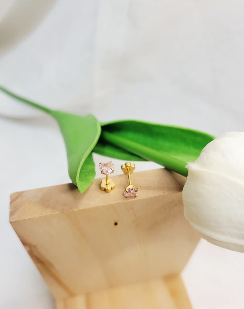 Image of Stud Earrings 