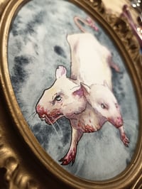 Image 4 of Les souris