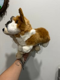 Image 4 of Douglas Dog set