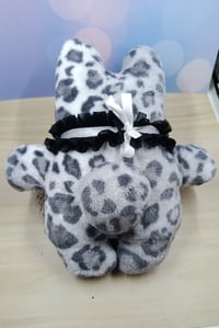 Image 3 of Little guy