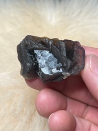 Image 4 of Pakistan Black Rose Fluorite UV Specimen #2430