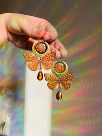 Image 1 of 🌛🧡Monarch Moons🧡🌜