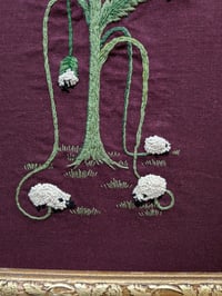 Image 2 of Vegetable Lamb of Tartary