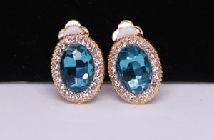 Image of Crave Elegant Clip On Earrings