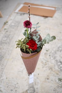 Image 4 of Rosa de Sant Jordi - La més dolça