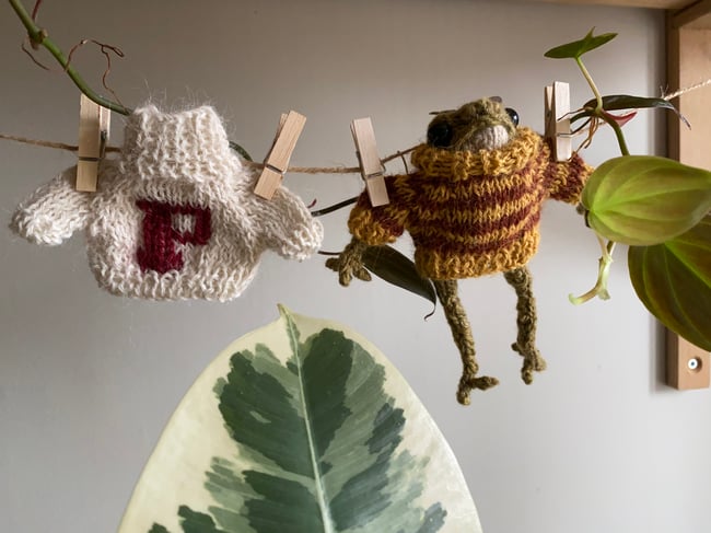 Sweater for knitted frog