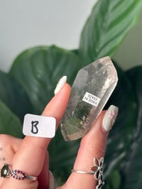 Image 2 of SILVER AND BLACK RUTILE IN QUARTZ GUSHER FREEFORMS -BRAZIL-