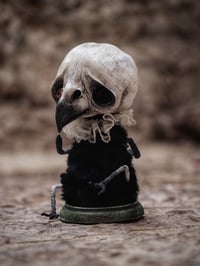 Image 2 of CROW ARTDOLL