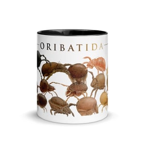 Oribatida colors mug