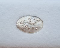 Image 1 of earstuds