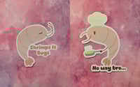 Shrimp stickers