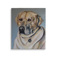 Image 3 of Yellow Labrador
