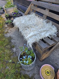 Image 7 of Curly Wool Throw
