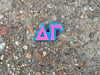 Delta Gamma Pin