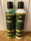 Aloe Vera Shampoo & Conditioner Kit