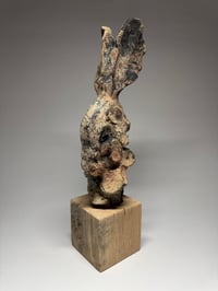 Image 1 of “Leroy”