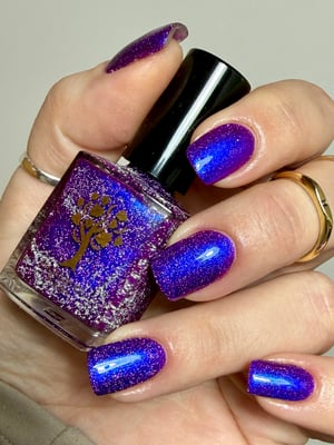 Image of Little box of Horrors