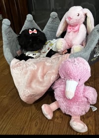 Image 2 of Shih-tzu puppies 