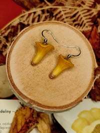 Image 2 of Kolczyki pieprznik jadalny 