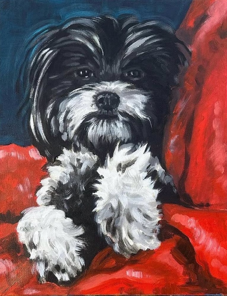 Image of Pet Portraits 