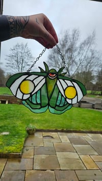 Image 1 of Moth green