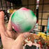 Madballs KO (Skull B) Image 2