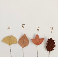 Image 3 of cocon mini leaf (vegetable dye)