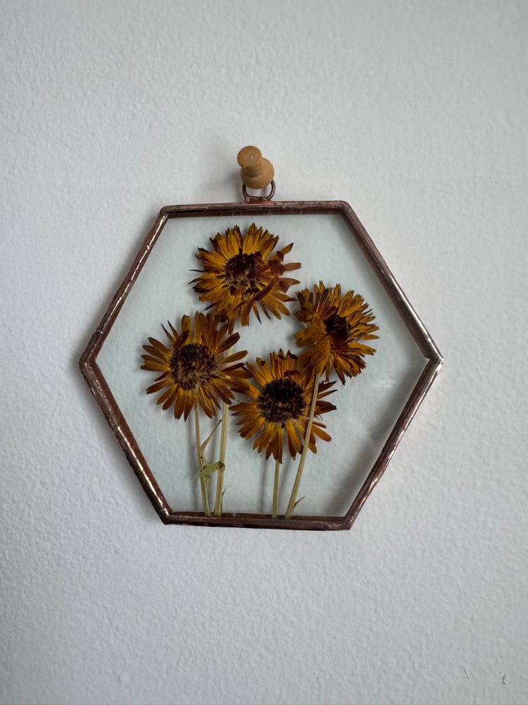 Hexagon with Calendula