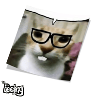 Image 2 of Funny Cars Leftovers