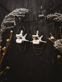 Image 1 of Chandeliers